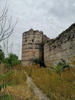 Theodosianische Mauer.jpeg