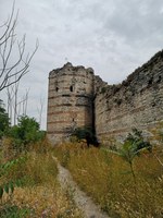 Theodosianische Mauer.jpeg