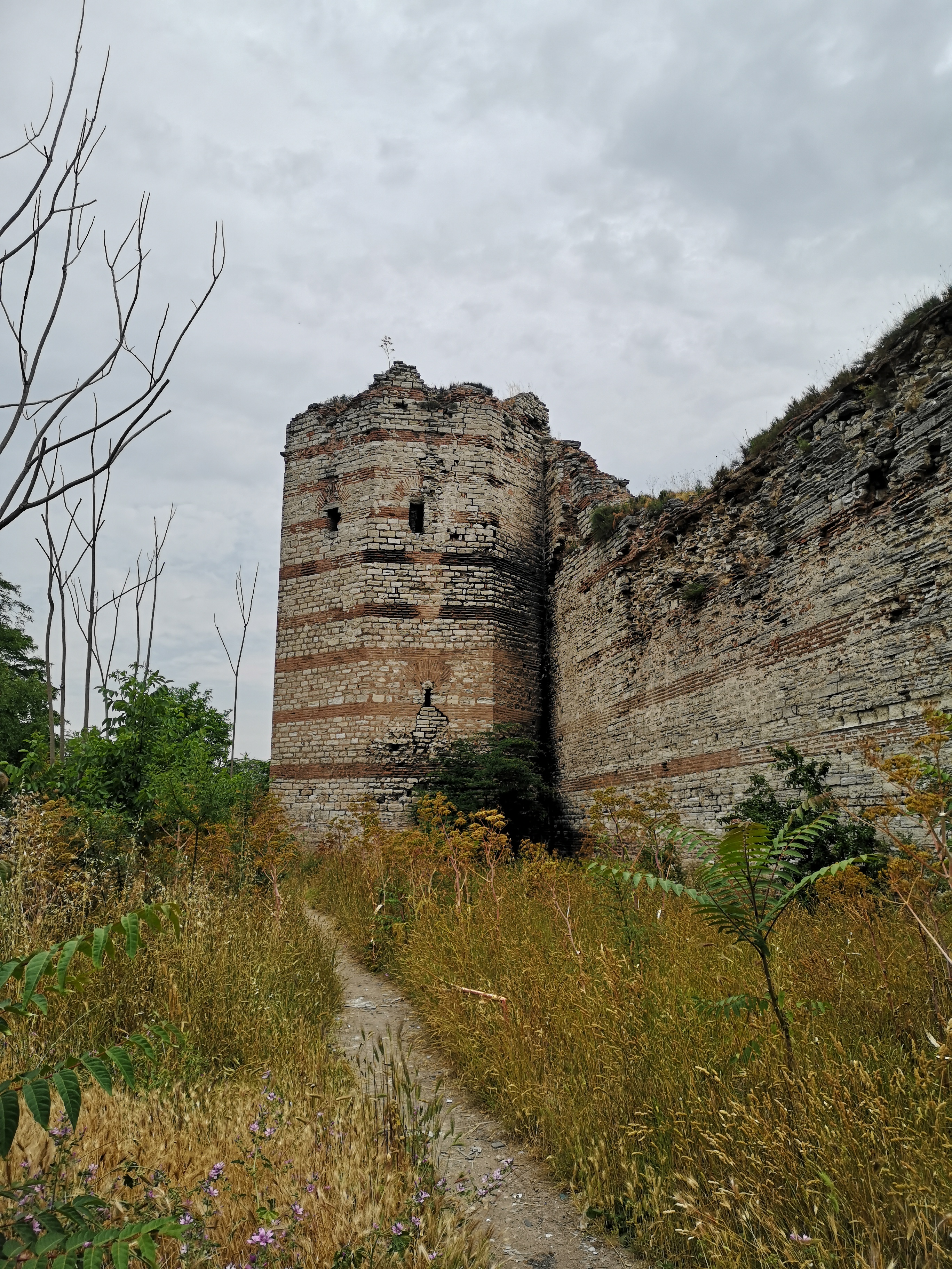 Theodosianische Mauer.jpeg