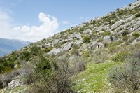 Limyra_Rock_graves_5145.jpg