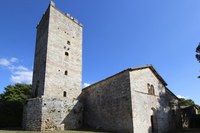 MaP_SsFidenzioeTerenzio