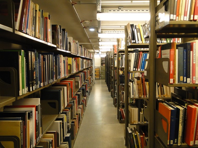Bibliothek_Bücherregal_1.JPG