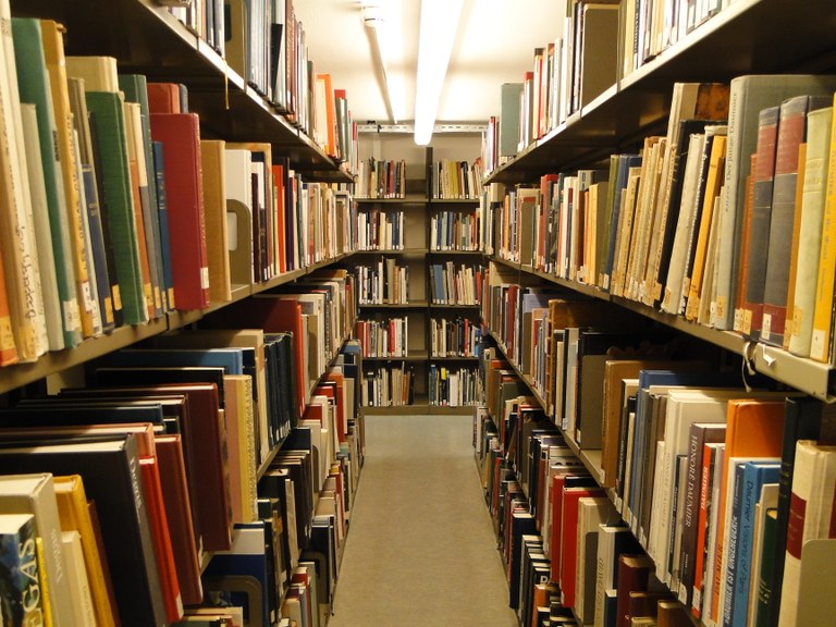 Bibliothek_Bücherregal_2.JPG