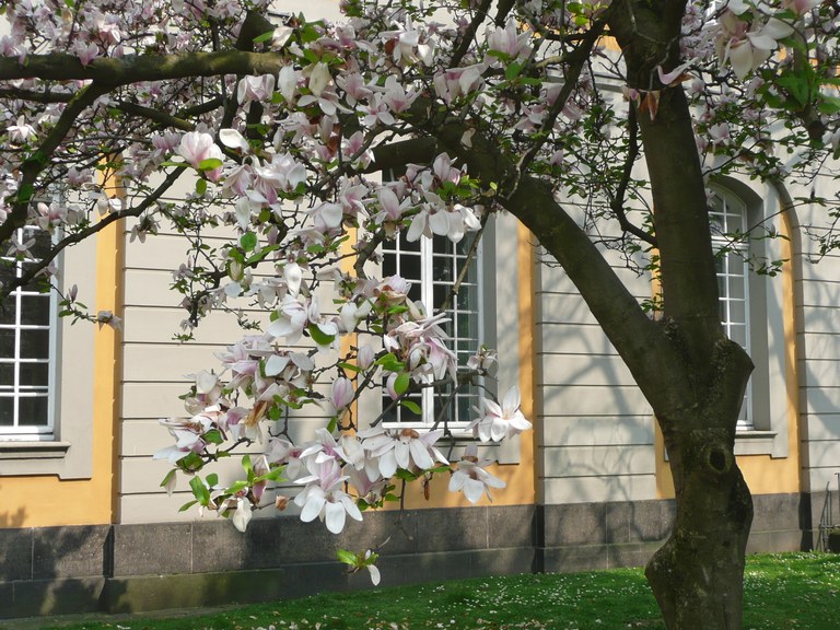 P1030753.JPG