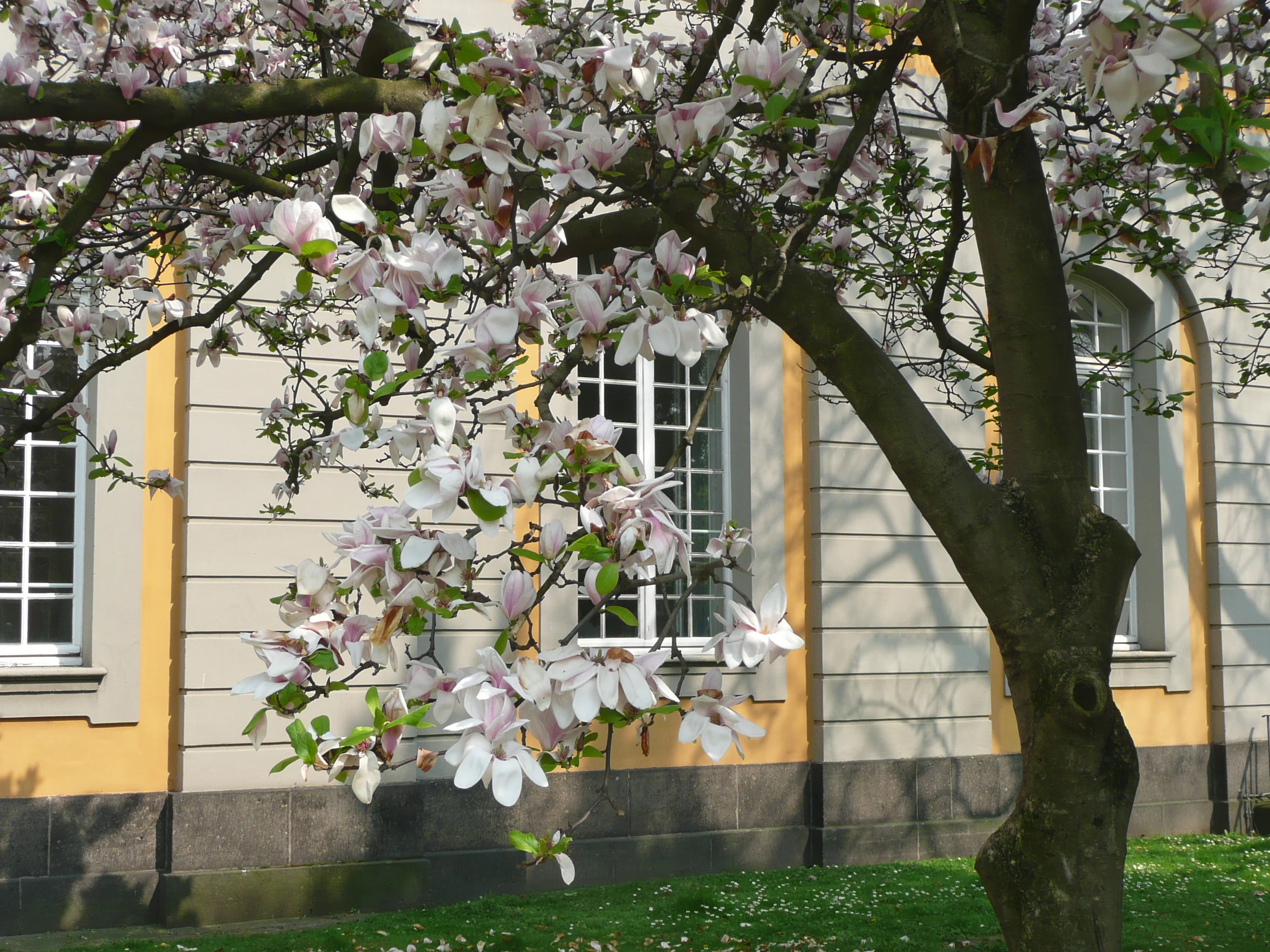 P1030753.JPG