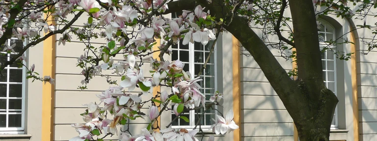 P1030753_angepasst.jpg