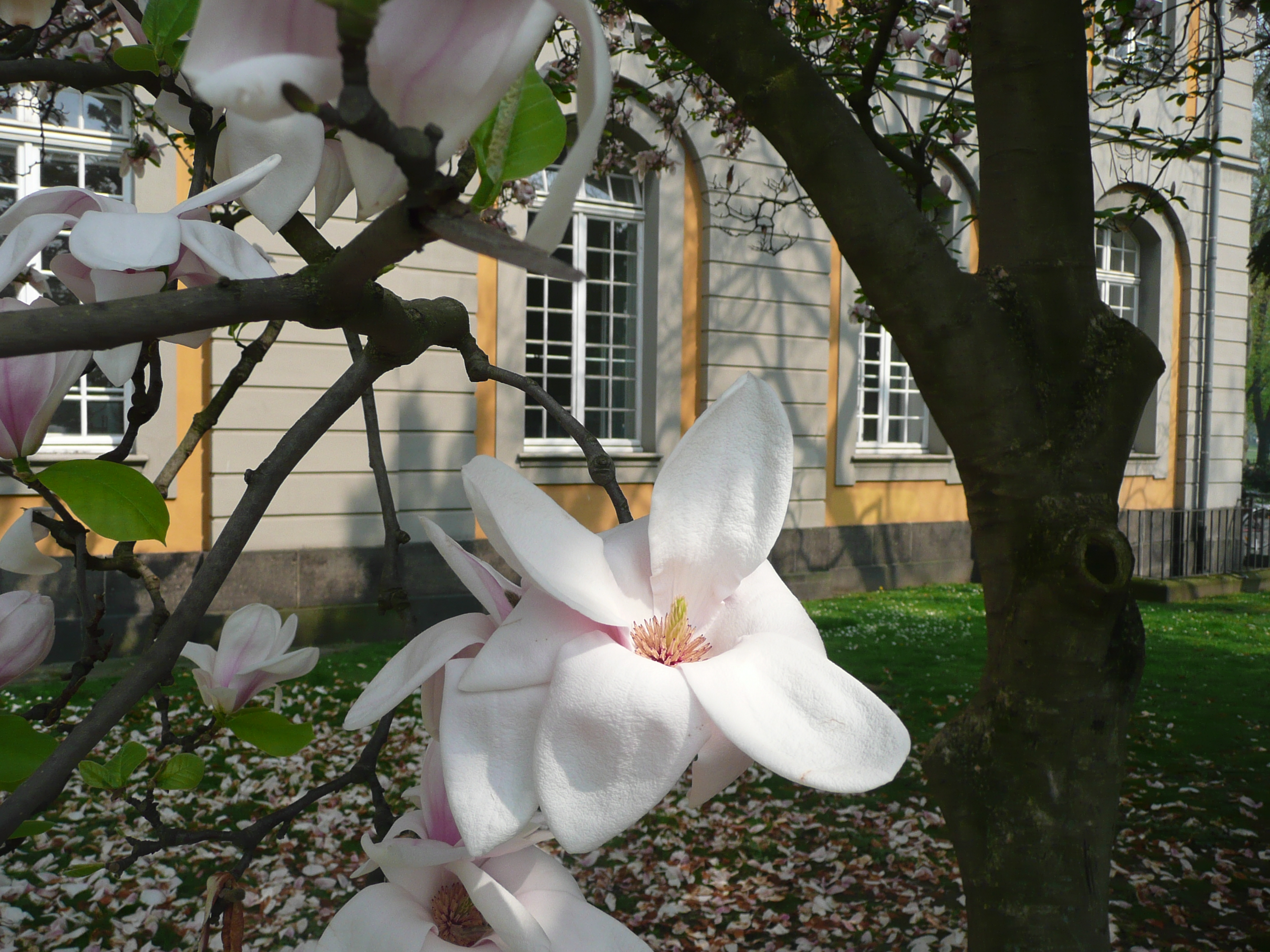 P1030755.JPG