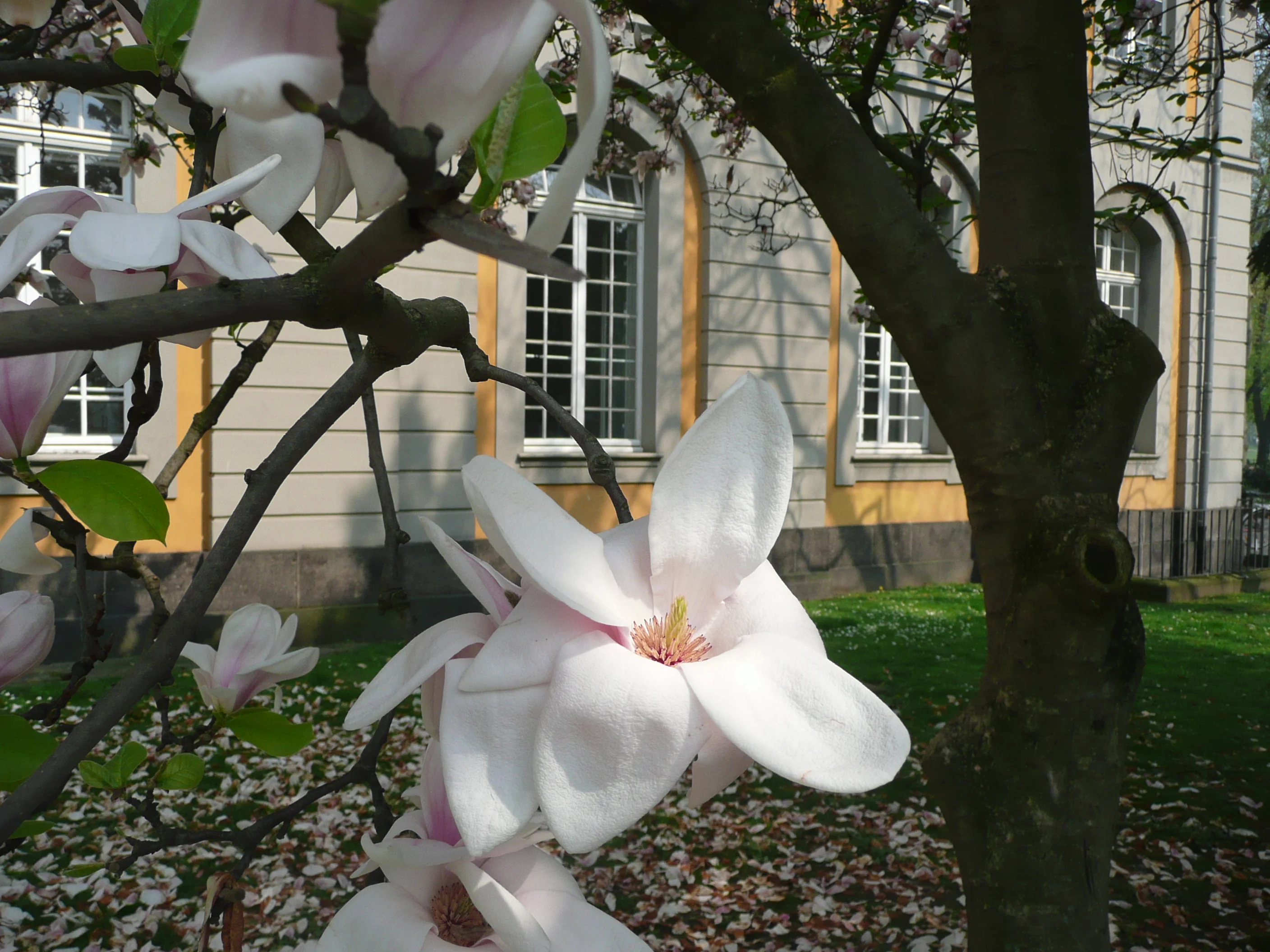 P1030755.JPG