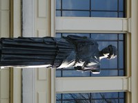 Statur_3.JPG
