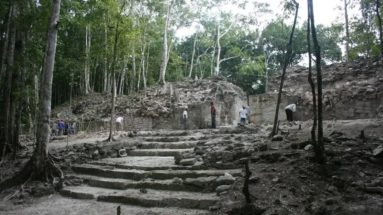 AltAm.jpg