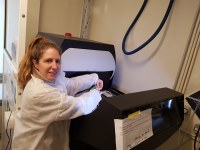 PARIS-microCT-cerca.jpeg