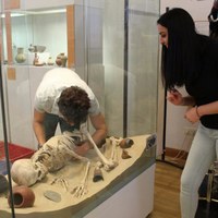 Arbeit an Vitrine