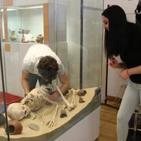 Arbeit an Vitrine