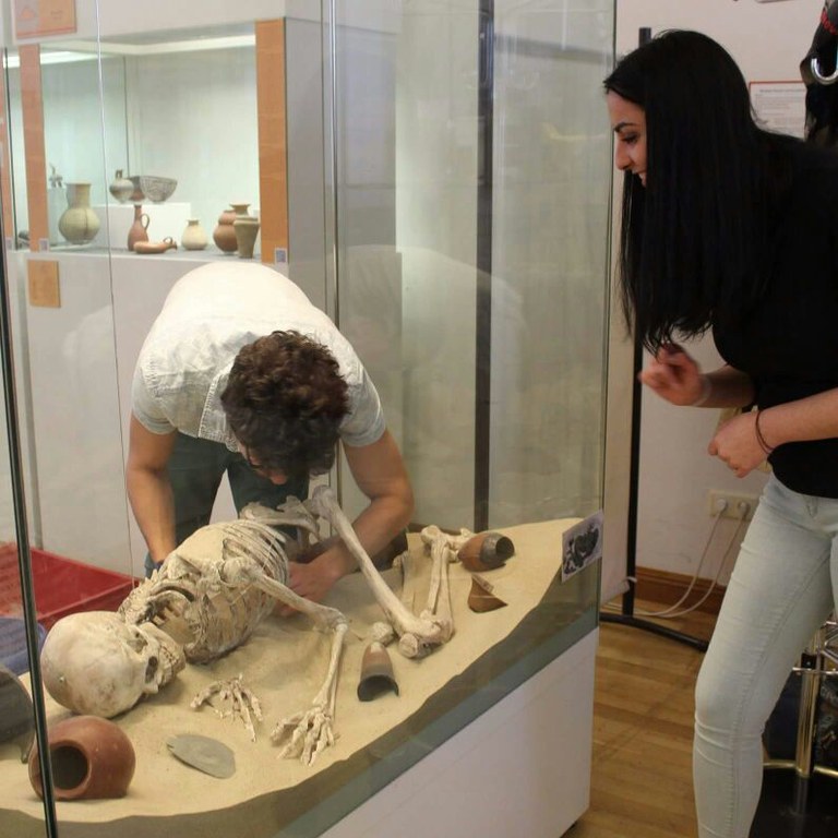 Arbeit an Vitrine