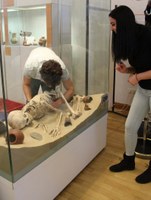 Arbeit an Vitrine
