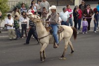 Foto Sonora