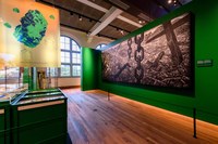 Image from room with theme Wealth from overseas, on display in Our colonial inheritance in the Tropenmuseum Amsterdam
