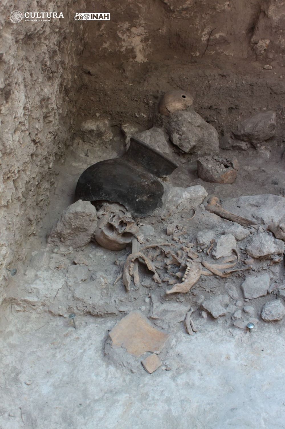 Entierro múltiple de Uxul, Vista este de mandíbulas y cráneos separados durante la excavación en el 2013.jpg