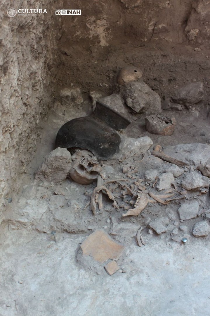 Entierro múltiple de Uxul, Vista este de mandíbulas y cráneos separados durante la excavación en el 2013.jpg