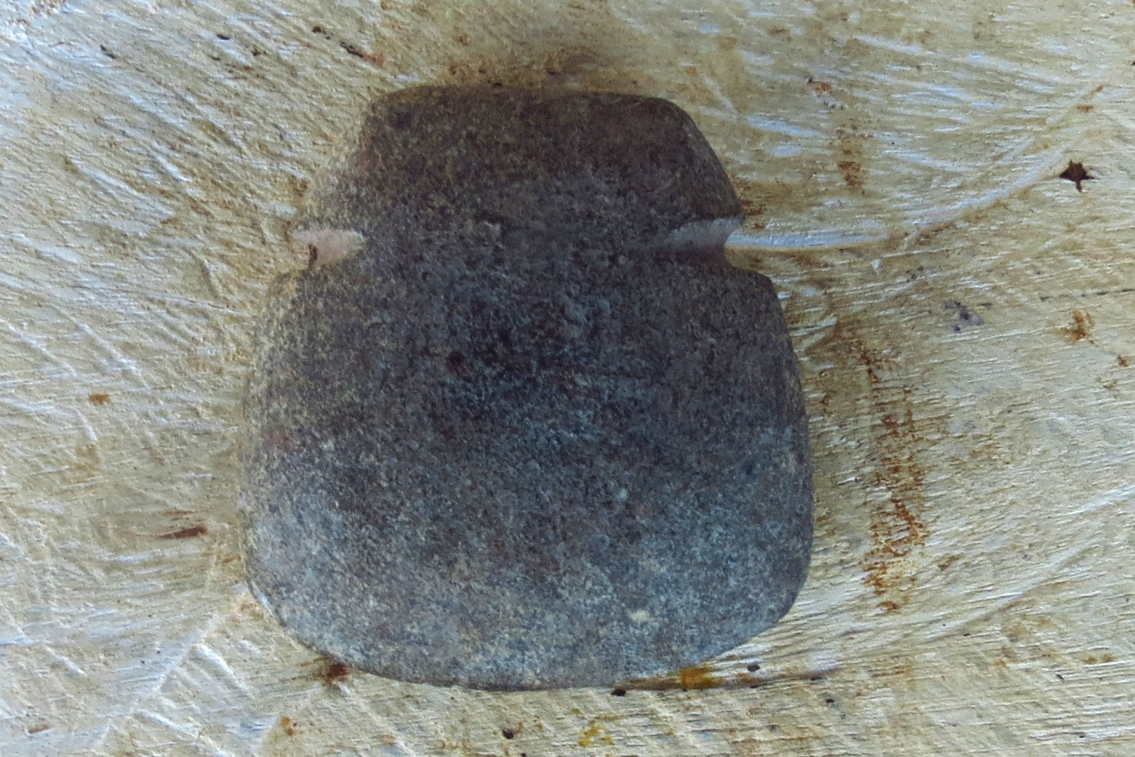 Polished axe blade Polished axe blade