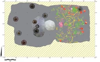 Uxul Mass Grave. Spatial distribution of bone elements in the artificial cave, Graphic. 