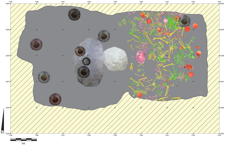 Uxul Mass Grave. Spatial distribution of bone elements in the artificial cave, Graphic. 