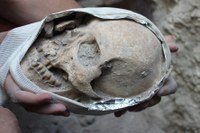 Uxul Mass Grave Recovery of skull Lote 2517 during the excavation.