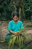 Mujer Tacana realizando el trenzado de cestería.