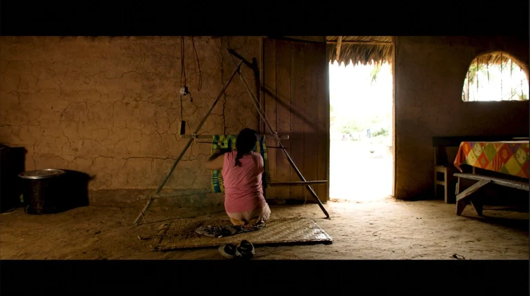 STILL FRAMES 1 (1).webp