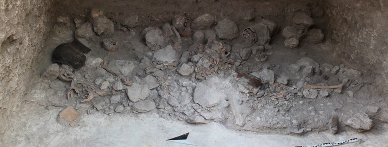 Overview of body parts during the excavations of the Mass Grave o Uxul 