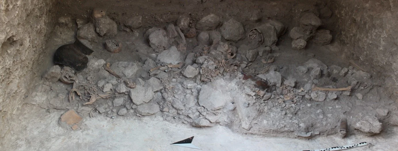 Overview of body parts during the excavations of the Mass Grave o Uxul 