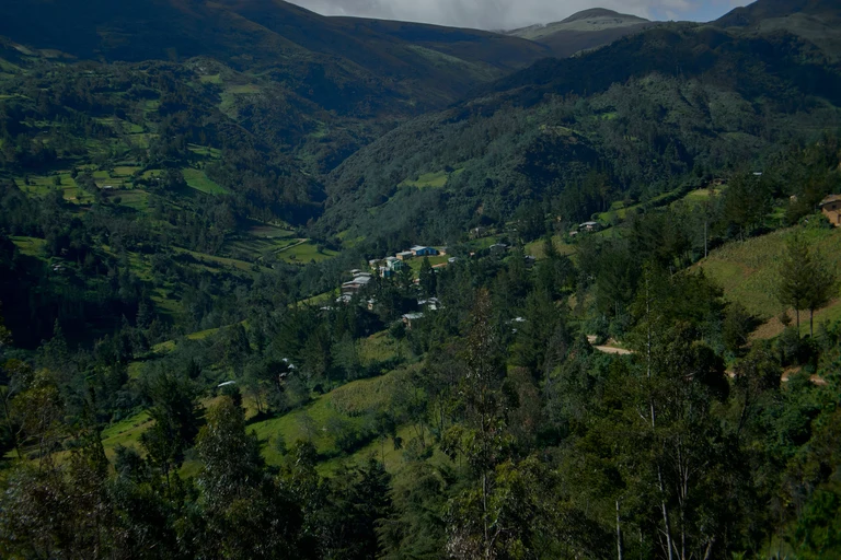 Archival Sovereignty: Indigenous Digital Media, Language Revival and Land Defense in the Andes