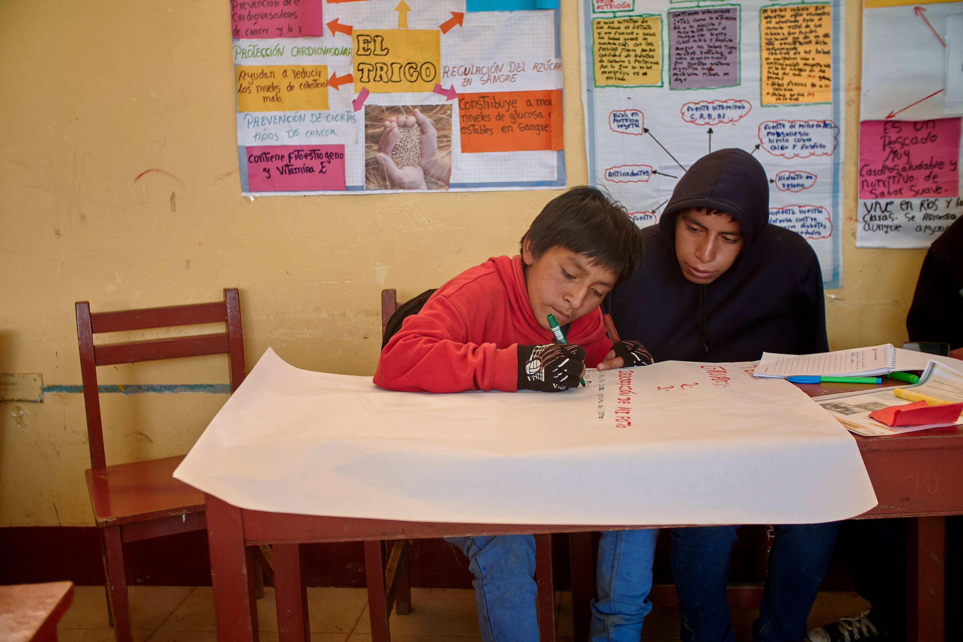 Indigenous Archives 3