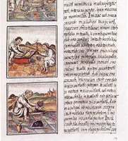 Codex_florentino_51_9.jpg