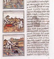 Codex_florentino_51_9.jpg