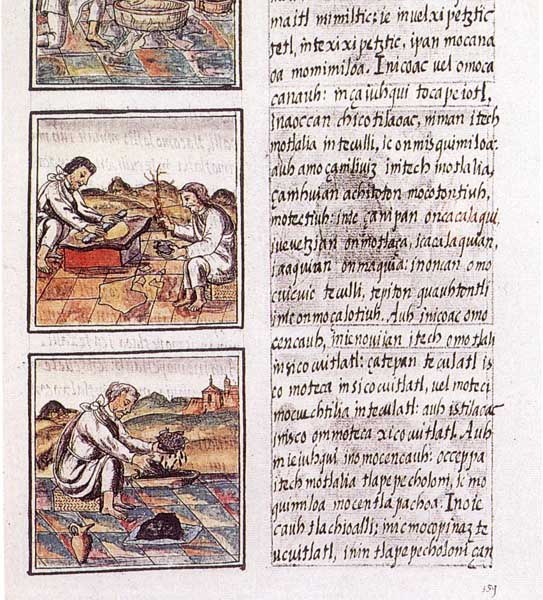 Codex_florentino_51_9.jpg