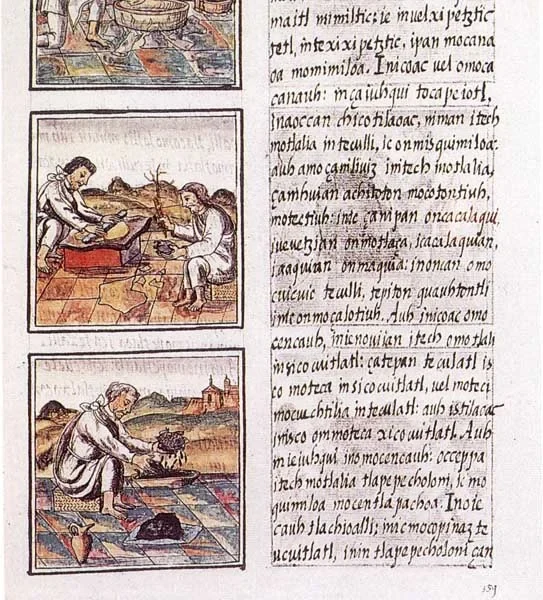 Codex_florentino_51_9.jpg