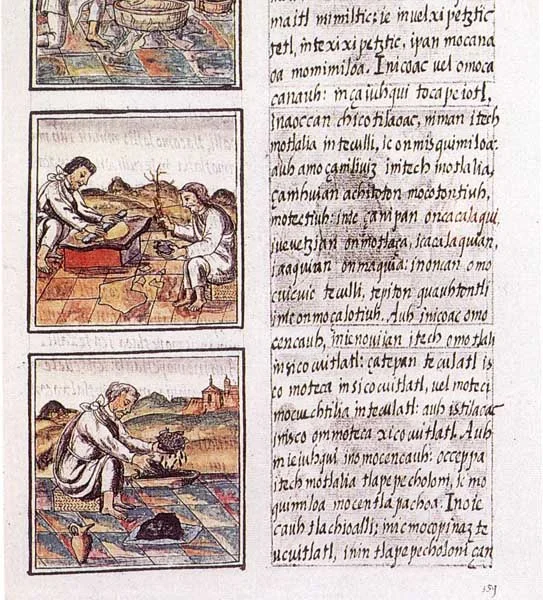 Codex_florentino_51_9.jpg