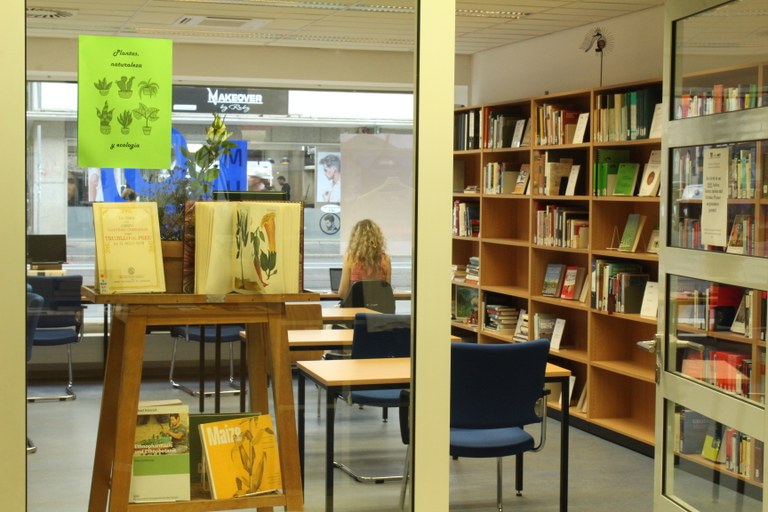 Lesesaal, Bücherausstellung