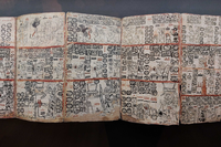 Madrider Codex.png