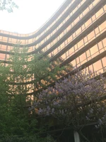 IMG_6330.png