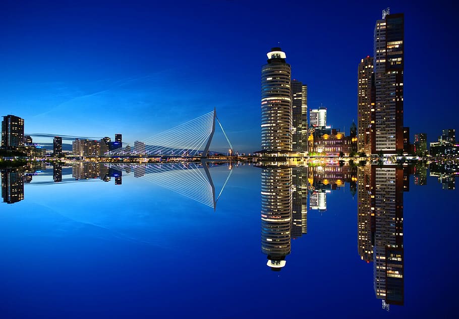 rotterdam-skyline-architecture-netherlands_piqsels.jpg