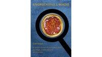 eindrucksvoll-winzig-Gemmen_IconSlider.jpg