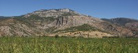 Priene Abb 1.