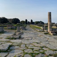 Paestum Straße am Forum