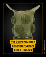 Fund des Monats_Beerennoppen.png