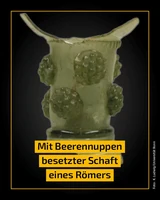 Fund des Monats_Beerennoppen.png