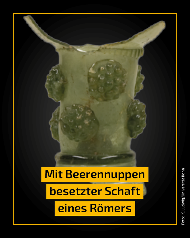 Fund des Monats_Beerennoppen.png