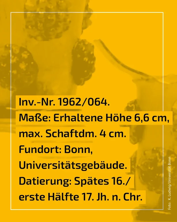 Fund des Monats_Beerennoppen2.png