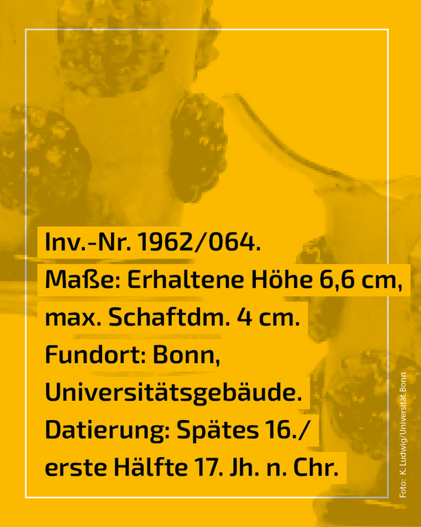 Fund des Monats_Beerennoppen2.png